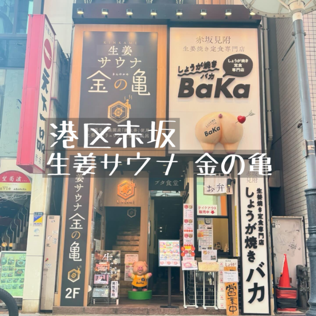 金の亀のサ活レポート！サ飯の生姜焼き定食で昇天【生姜×サウナは相性バツグン】